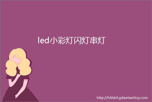 led小彩灯闪灯串灯